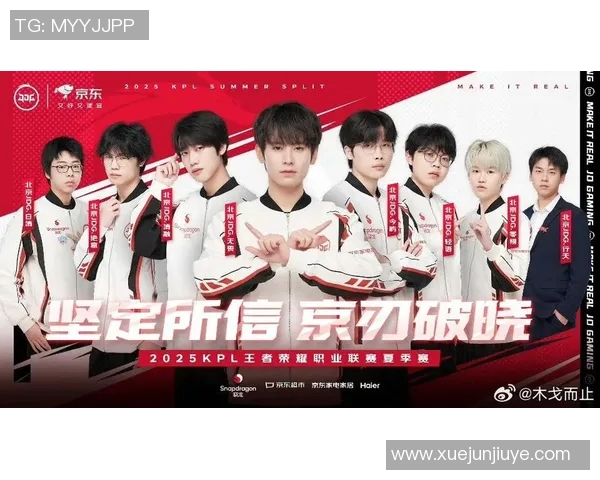 王者荣耀热议JDG战队灵活性引发的战术争议与分析